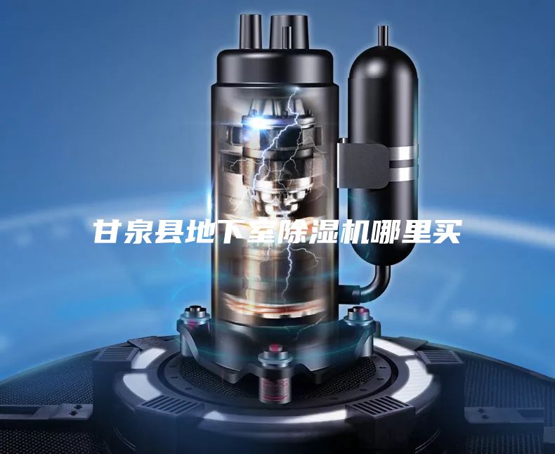 甘泉縣地下室除濕機(jī)哪里買(mǎi)