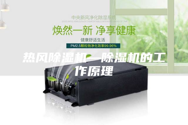 熱風(fēng)除濕機(jī)—除濕機(jī)的工作原理