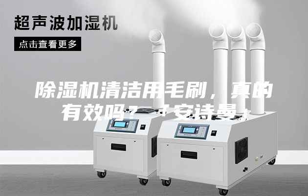 除濕機清潔用毛刷，真的有效嗎？「安詩曼」