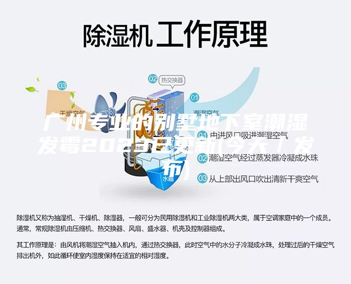 廣州專業的別墅地下室潮濕發霉2023已更新(今天／發布)
