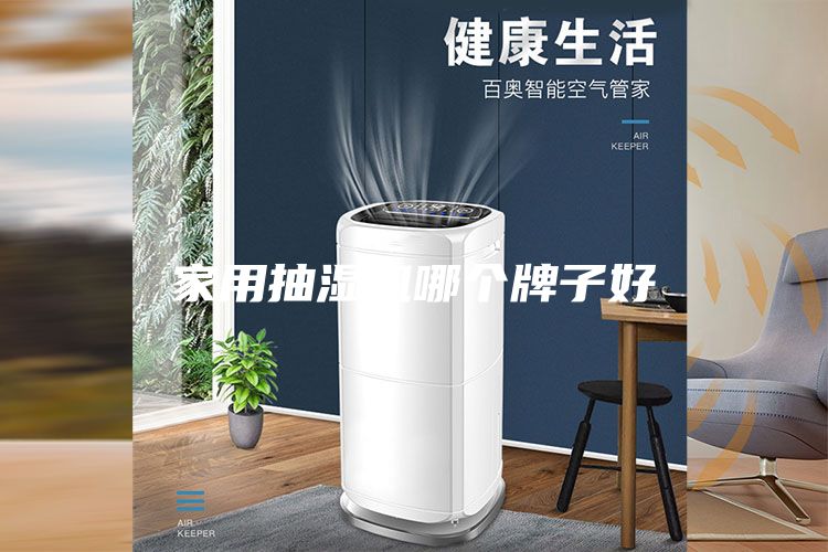 家用抽濕機(jī)哪個牌子好