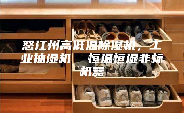 怒江州高低溫除濕機，工業抽濕機  恒溫恒濕非標機器