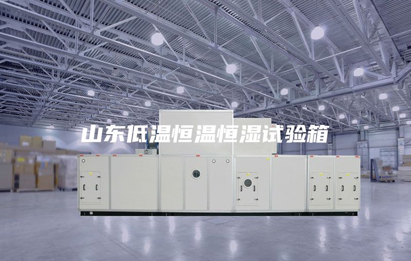 山東低溫恒溫恒濕試驗(yàn)箱